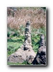 [Click to enlarge image]